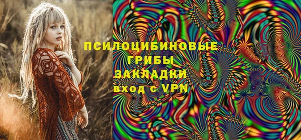 эйфоретик Белокуриха
