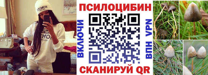 наркота Выкса Галлюциногенные грибы ЛСД
