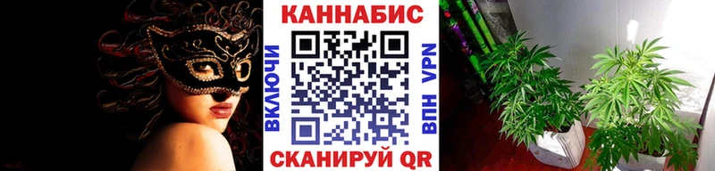Бошки Шишки Amnesia  Выкса 